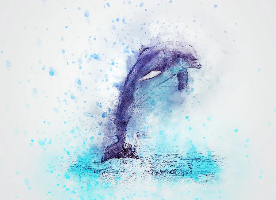Dolphin jumping painting on white background