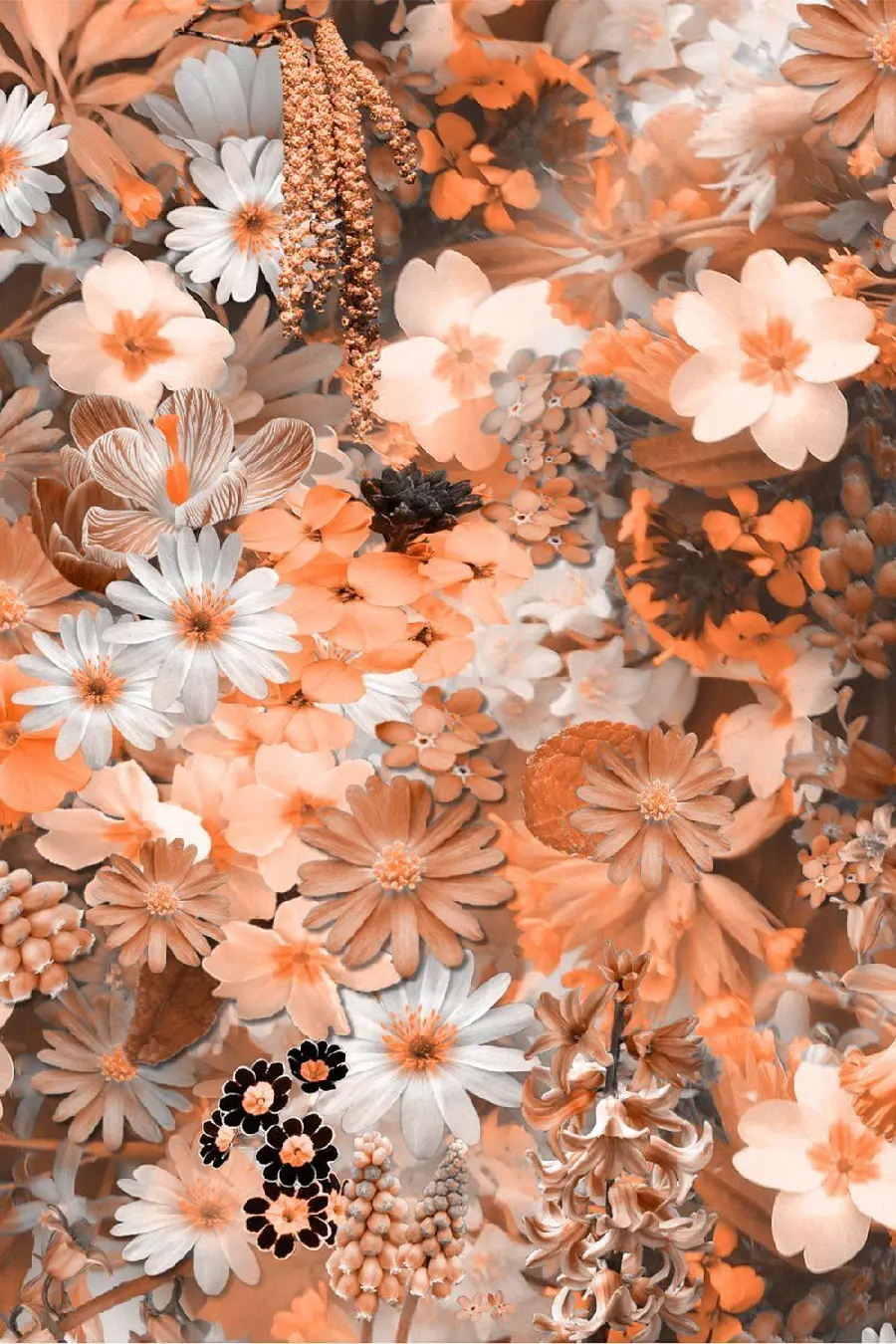 Download trendy photo collage style and photo collages of fragrant and beautiful flowers