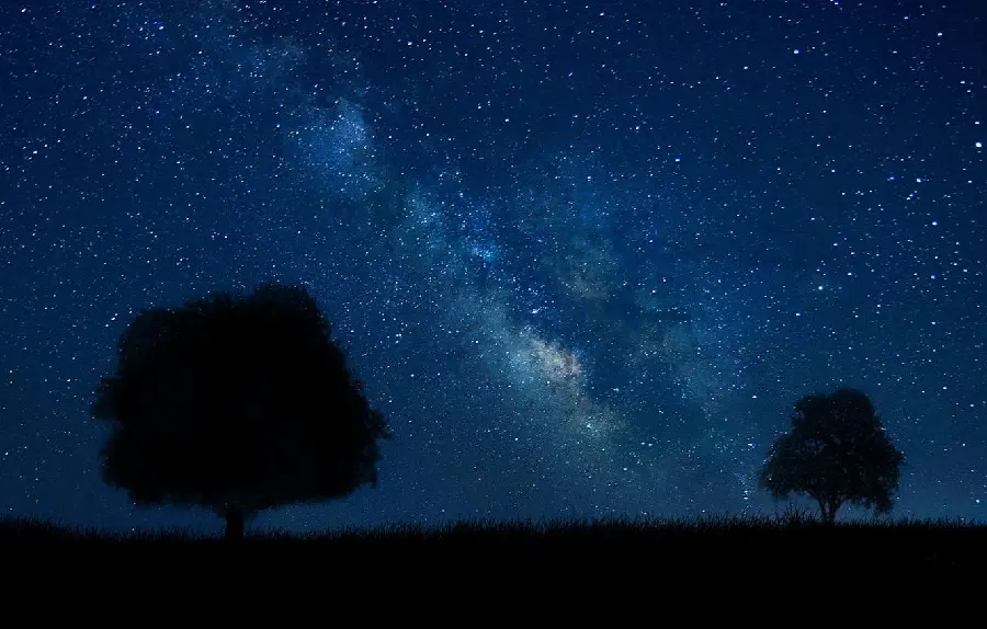 Simple and unedited photo of a lonely man next to the trees in the night view 