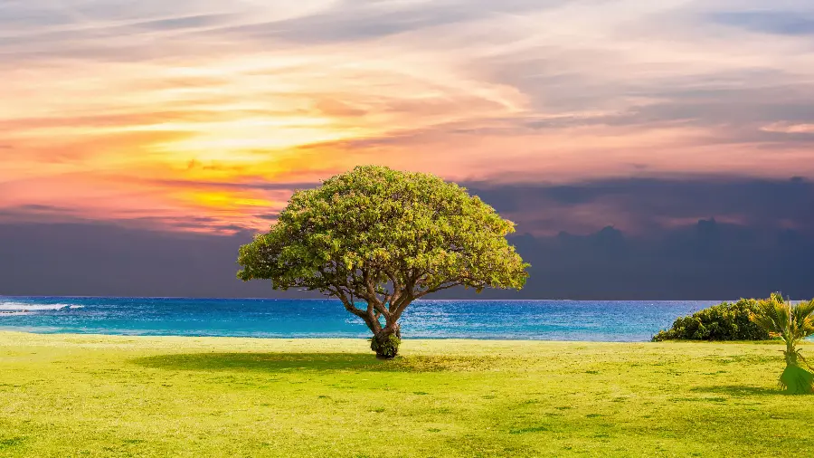 A very beautiful painting of lush beach grass