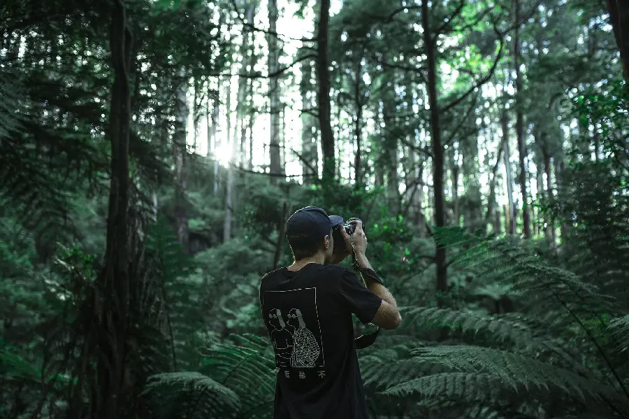 Photo of a lonely man next to trees taking a photo for profile 
