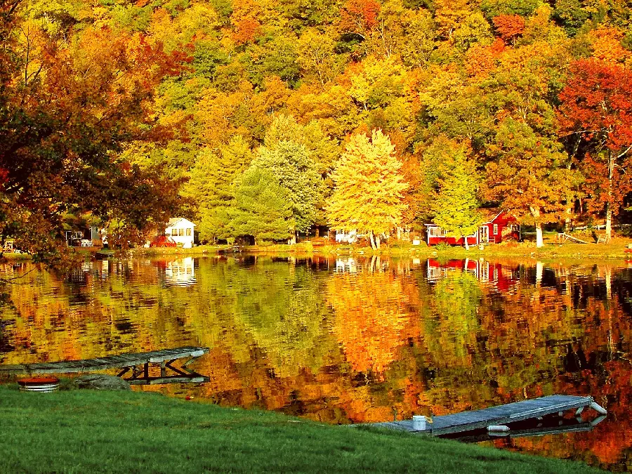 Best Autumn Backgrounds for Android and iPhones