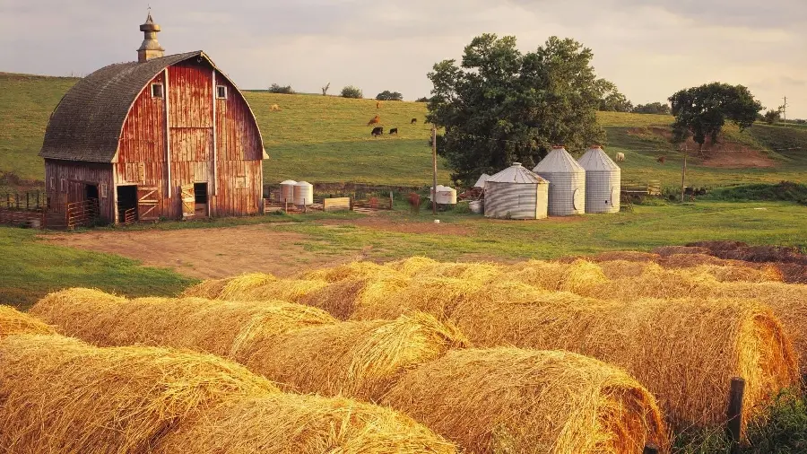 A beautiful small barn wallpaper with farm animals