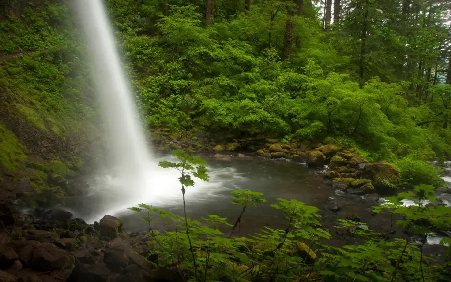High waterfall in the middle of the forest suitable for profile