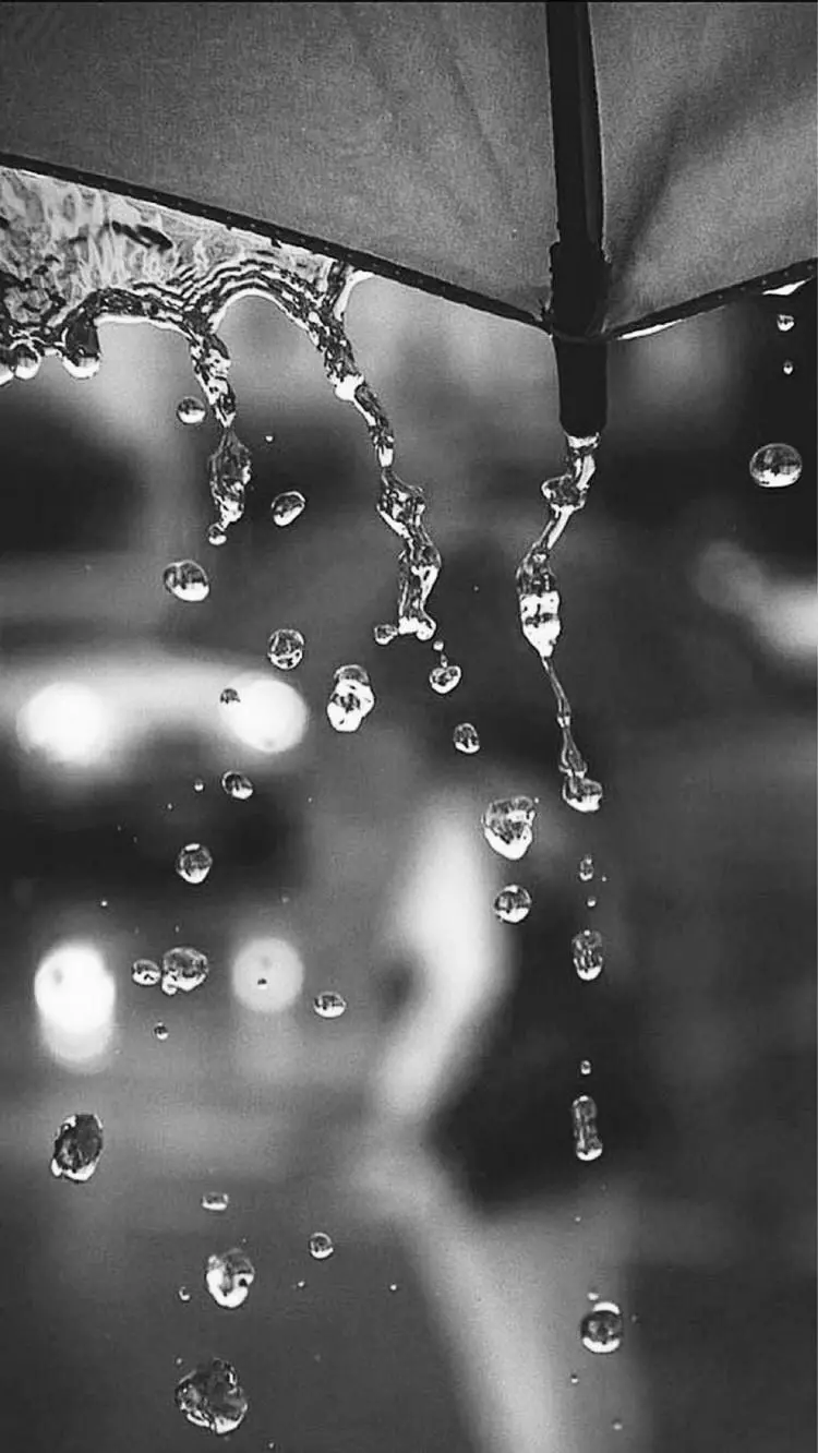 Artistic and creative black and white image of raindrops dripping from Umbrella