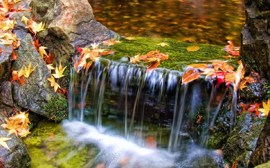 Cool autumn wallpaper with a photo of a forest waterfall in full HD 