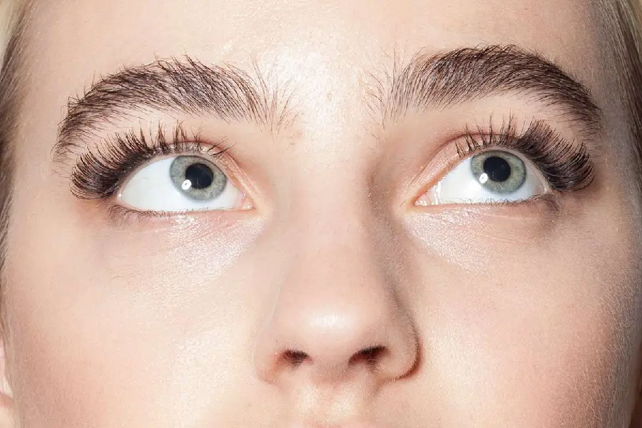 Special photo of eyelashes implanted in the latest way and method