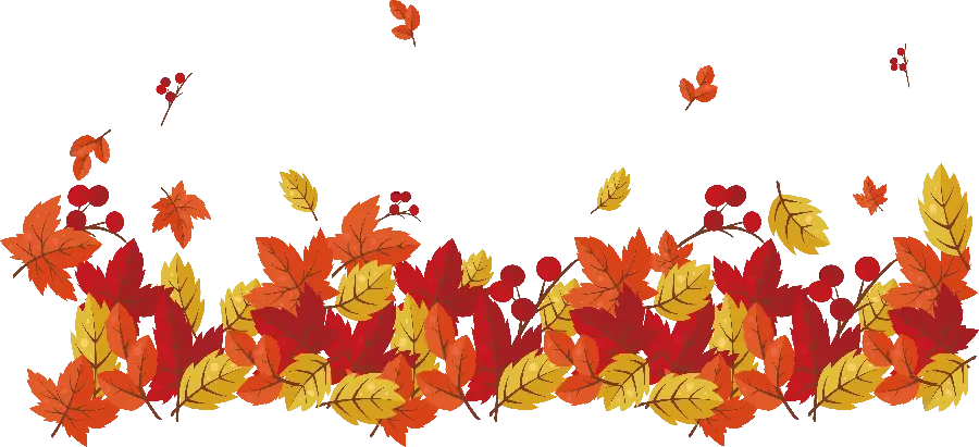Download PNG image of autumn leaves cut out