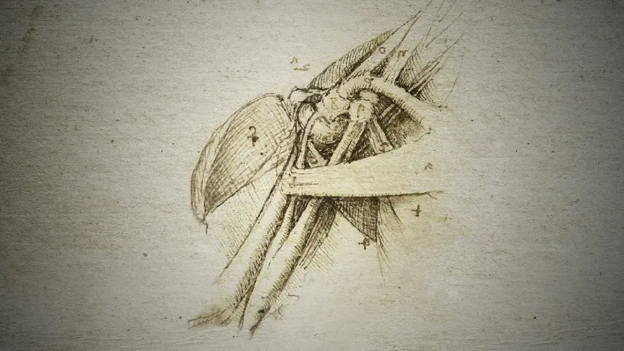 Photo of the first page of the notebook of Leonardo da Vinci's inventions, the great Italian scientist 