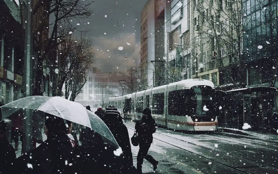 Wallpaper and background of a snow umbrella in a dreamy winter with the highest quality