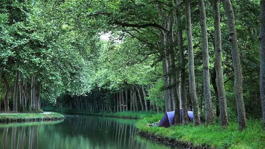 Image of a camp among the trees and the lake, suitable for desktop backgrounds 