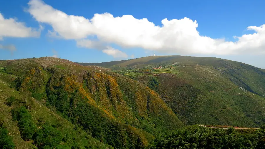 Background of a spectacular landscape with dense vegetation in the blue sky
