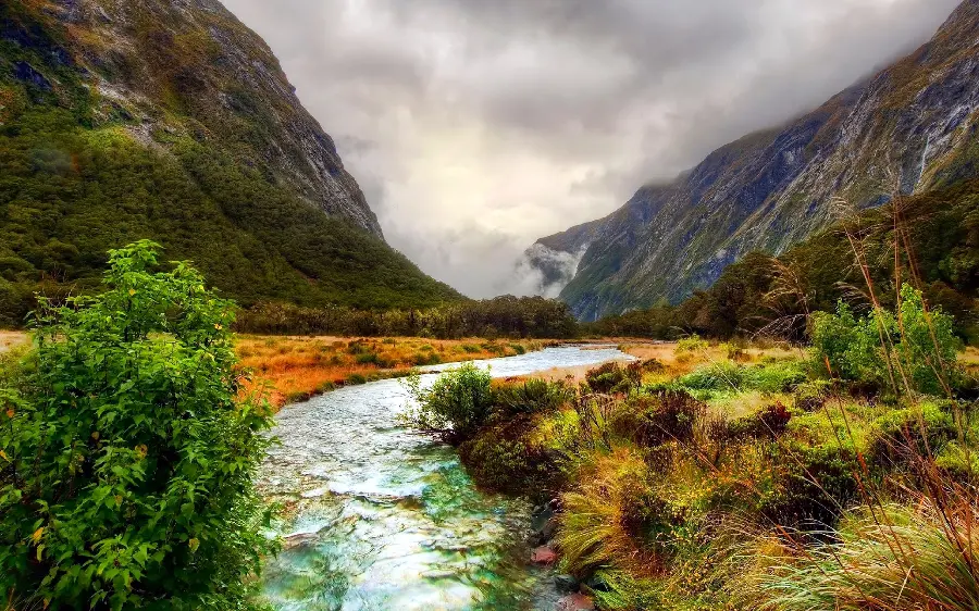A very beautiful wallpaper of the pure and magical nature of New Zealand