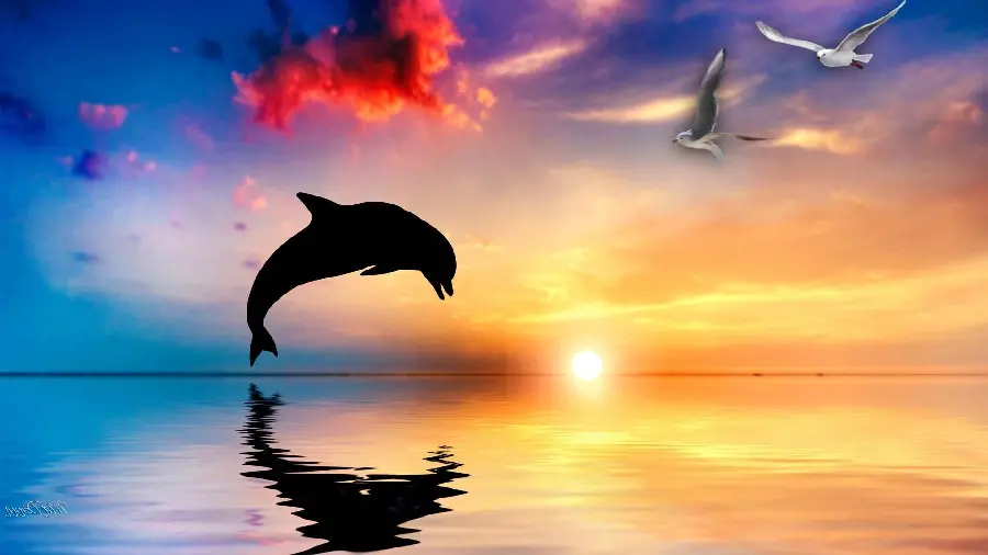 Digital image of a dolphin jumping in the water