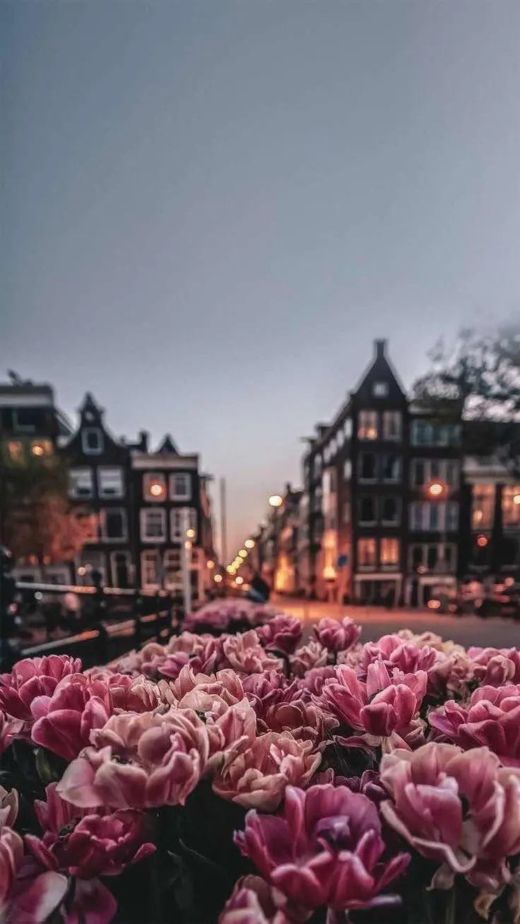 Dreamy and girly background photographed from European cities for your phone