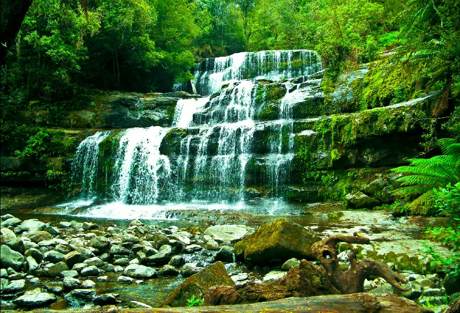 Download a photo of a lush forest with a low and clear waterfall