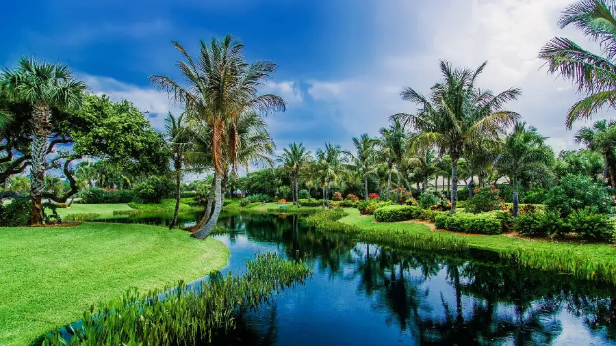 A beautiful view of a green and clean plain with a river 