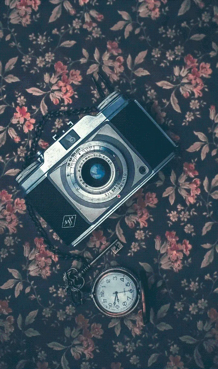 A spectacular and interesting camera image suitable for profiles and backgrounds for photography lovers