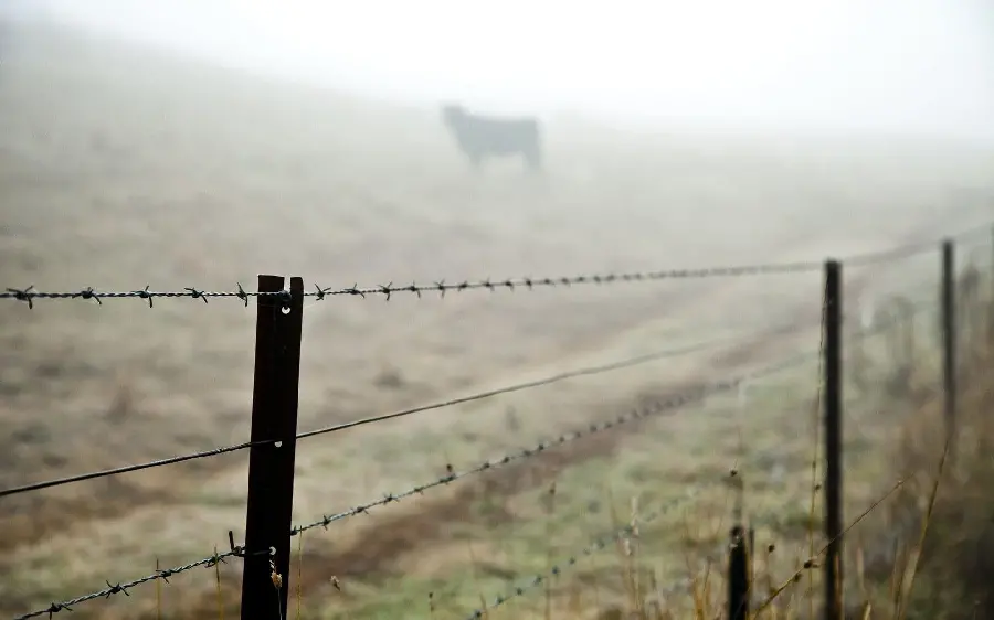 Free Barbed Wire Themed Wallpaper for Prisoner Profile