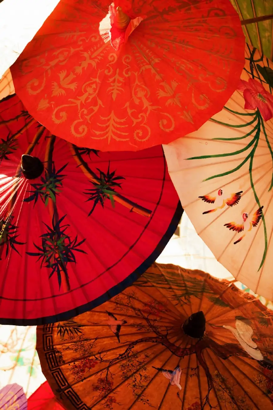 Image of traditional Japanese umbrellas with various designs for your phone screen