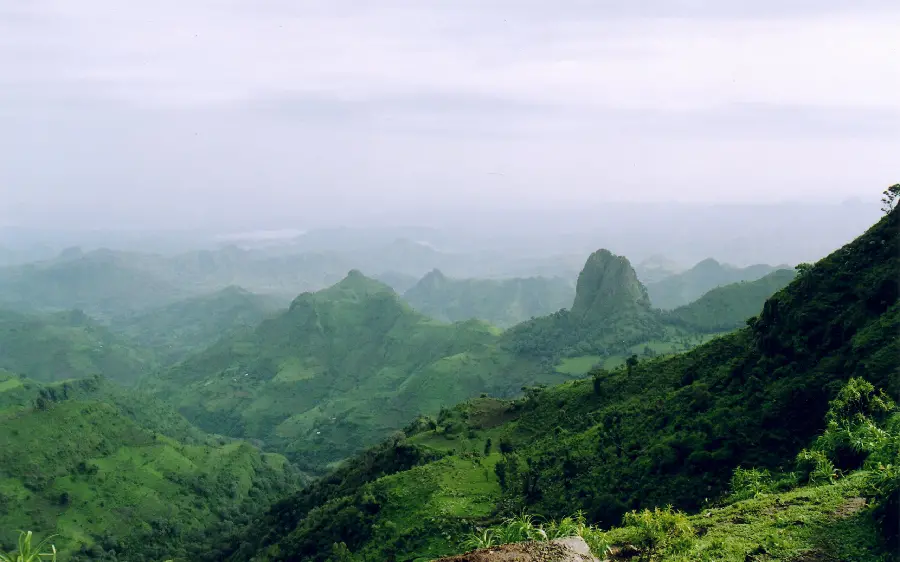 Aerial image of the clean and lush nature of the village 