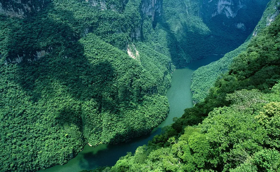 The most beautiful spectacular wallpaper of a lush landscape in nature from above