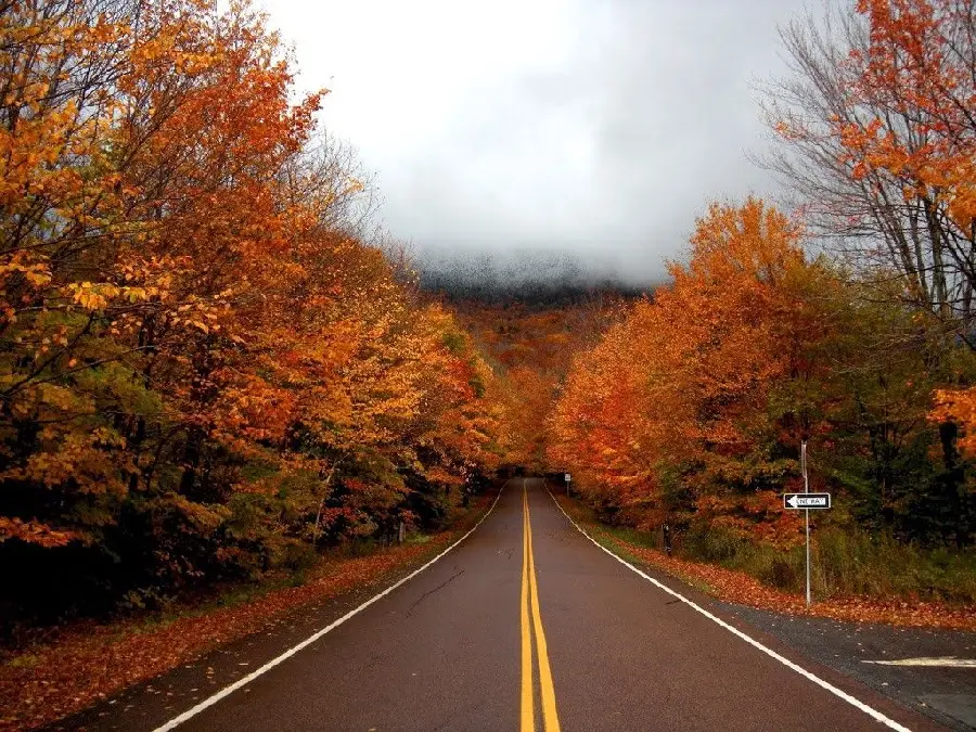 The most dreamy rainy and autumn landscape and road for background and profile 
