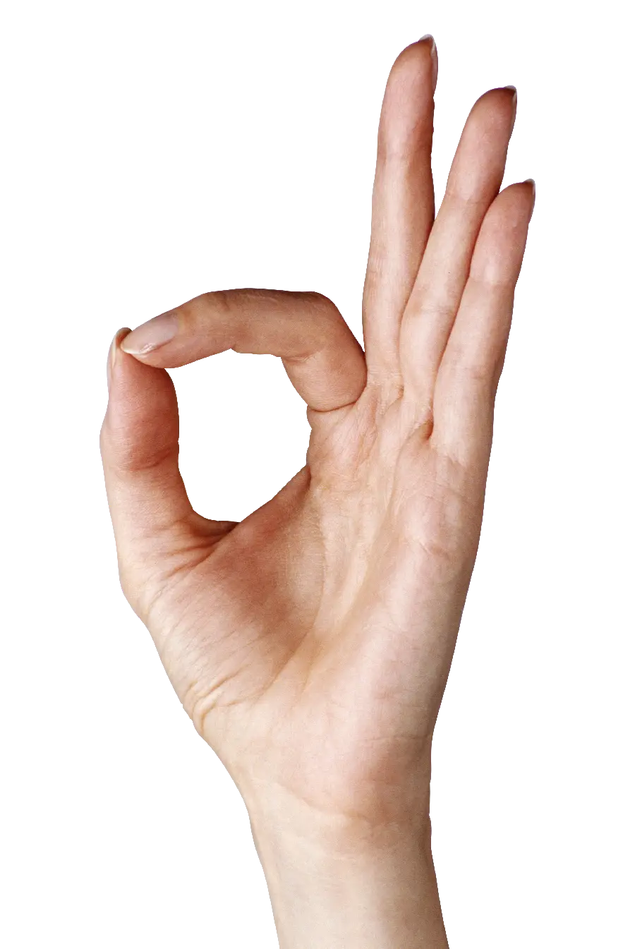 Download free and high-quality photo of a hand with an approval and OK mode
