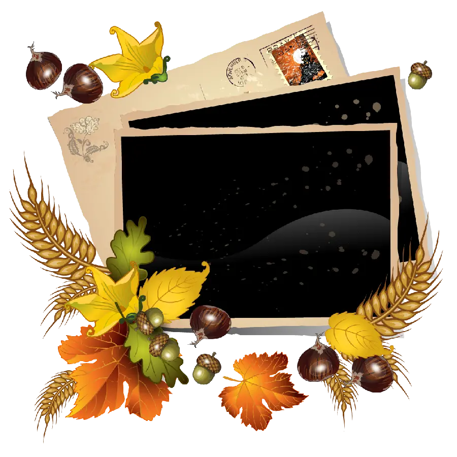 Download PNG image of a text box with an autumn theme 
