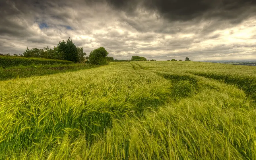 New cool background of natural scenery, full HD quality