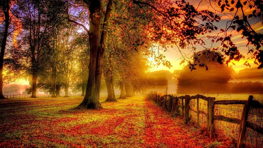 Download autumn background photos for desktop and laptop in full HD quality 