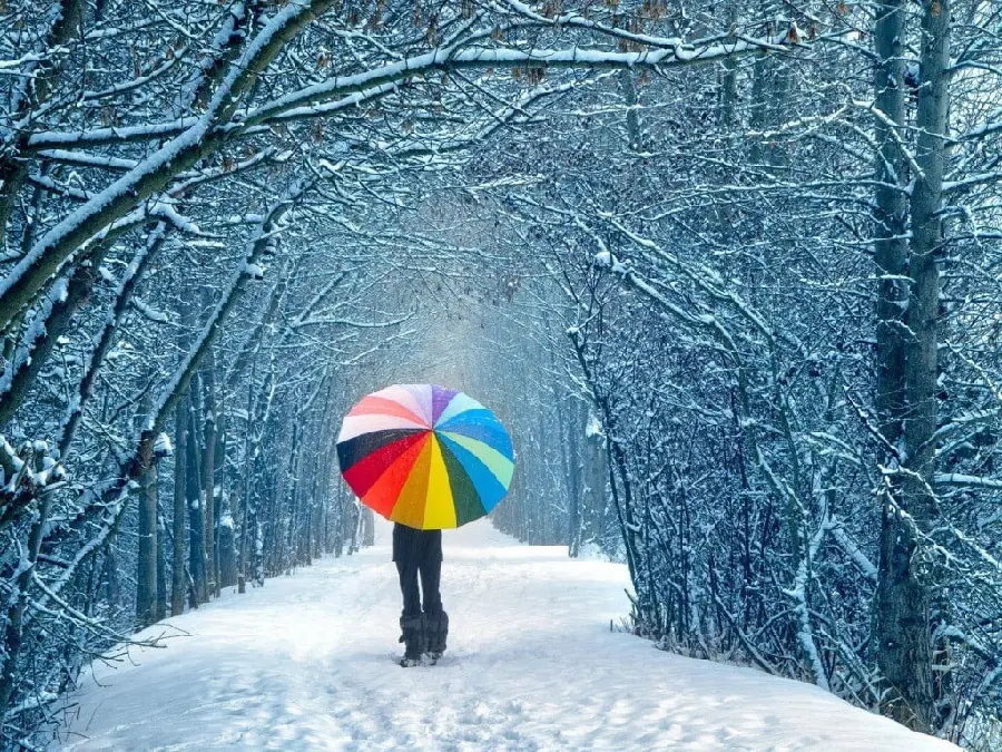 Download profile picture and wallpaper of a lonely girl in the forest with a snow umbrella in the cold winter season