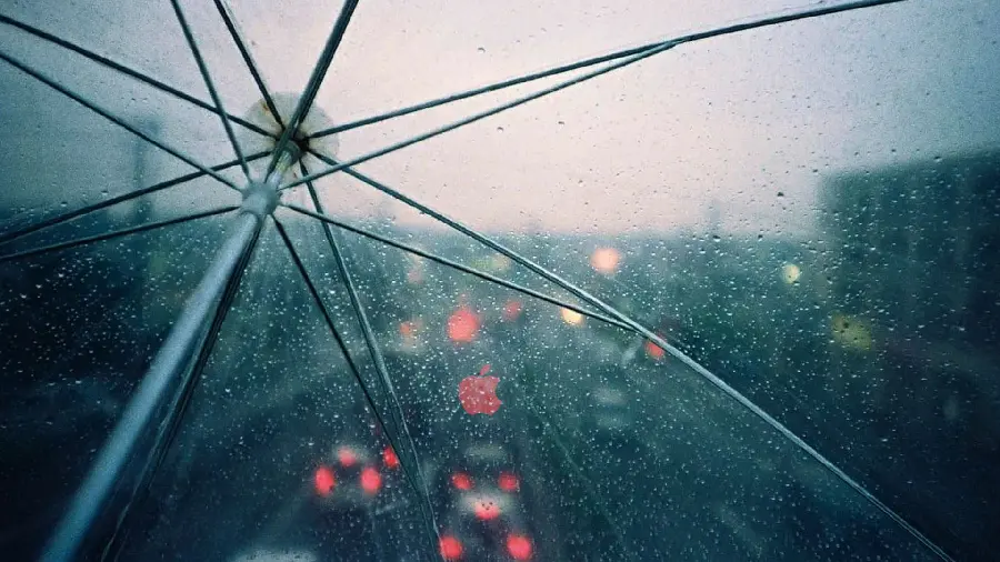 The latest transparent and colorless glass umbrella model in the rain