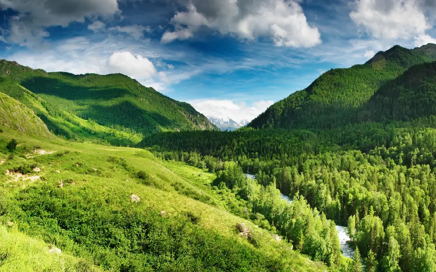 Download background photo of the lush mountain design for old monitors