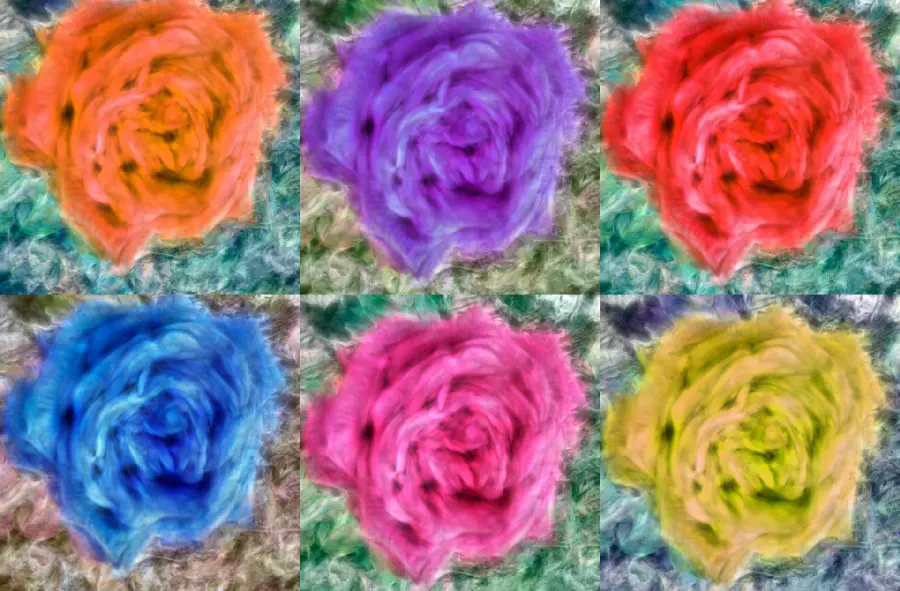 Download background and profile photos with special designs of roses with different colors