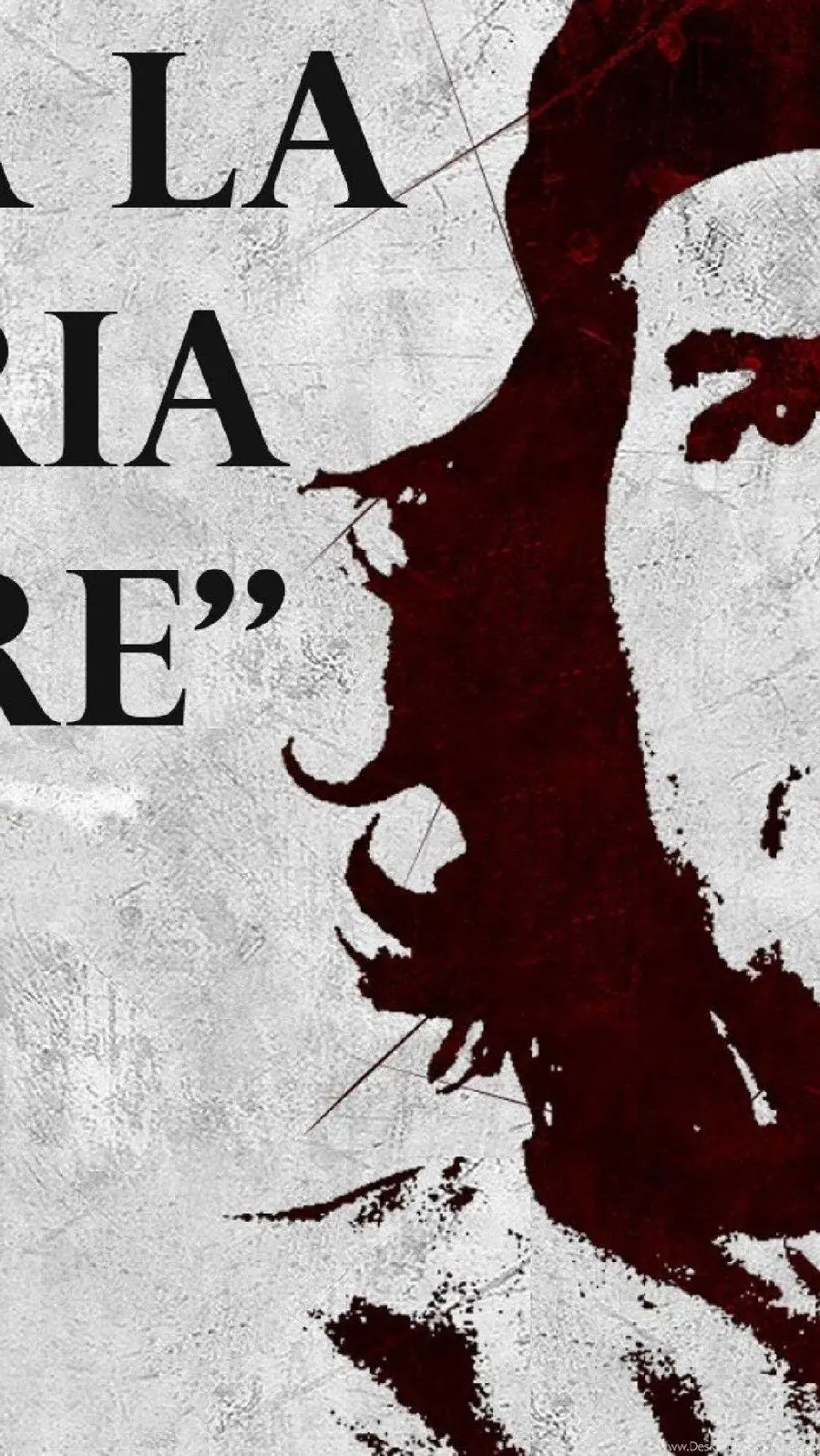 Free and high-quality download of Ernesto Che Guevara's photo, the main character of the Cuban revolution, for your profile