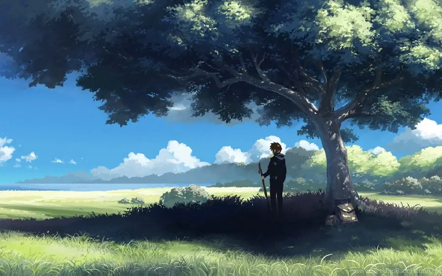 Photo of a lonely man under the shade of a leafy tree with a blue sky 