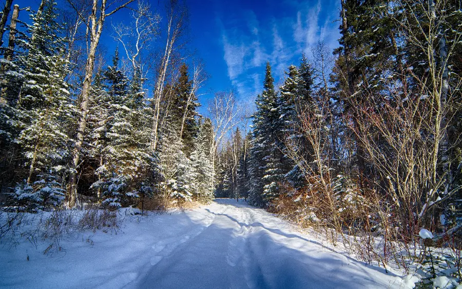  Winter background in war and mountains without humans 