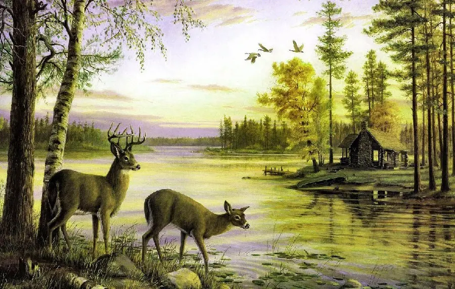 Download stock photo of nature and animals painting for decorative poster printing 