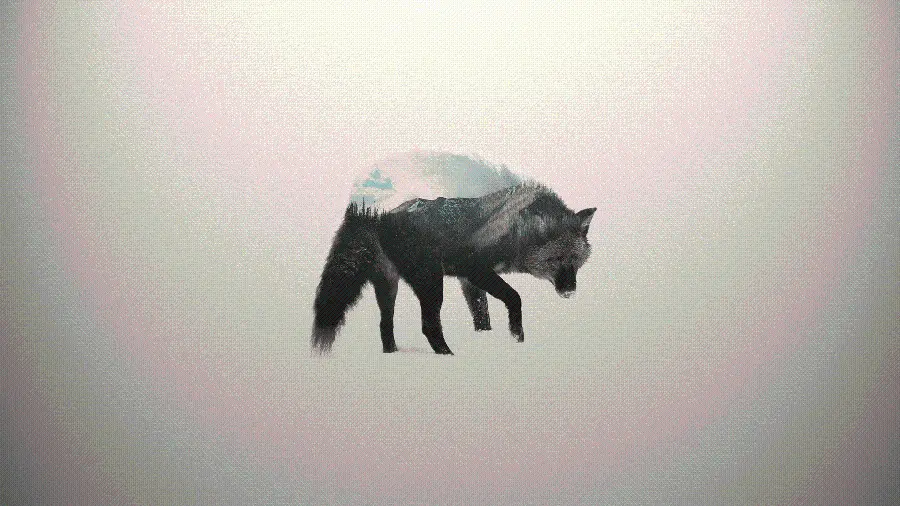 Very creative and artistic minimalist image for your desktop