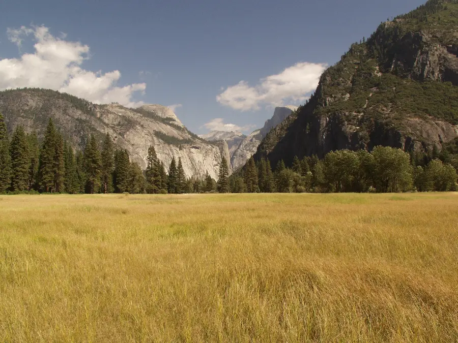 A photo of the pure and magical nature of Yosemite National Park in California