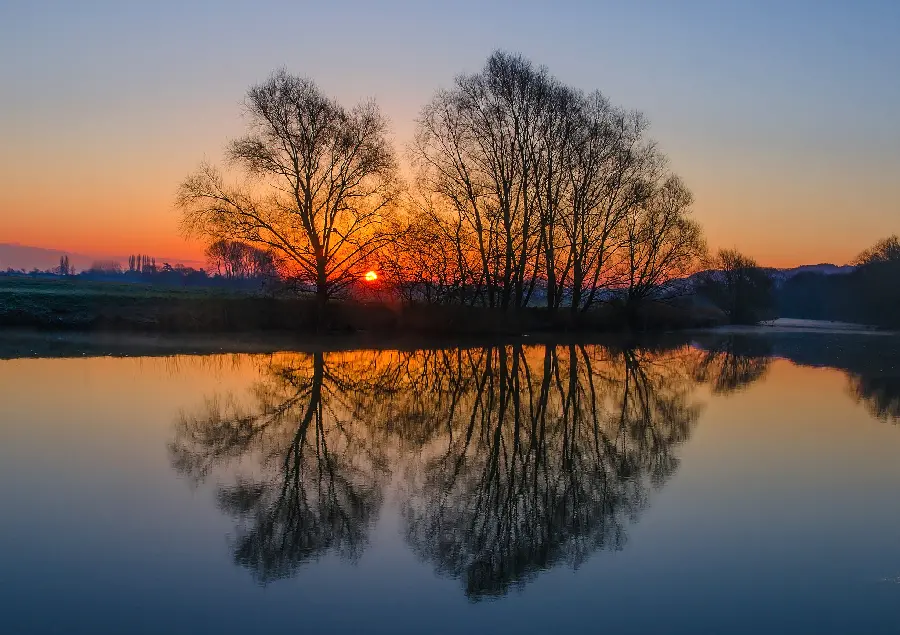 The most viewed dreamy profile photo with Two low-leaf trees by the lake 