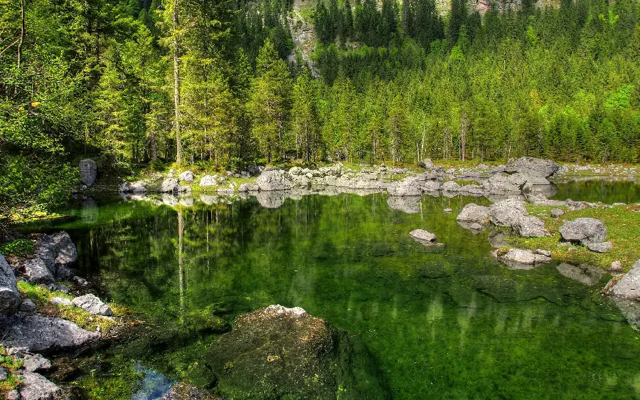 Download special and spectacular dreamy and romantic nature photos with the highest quality