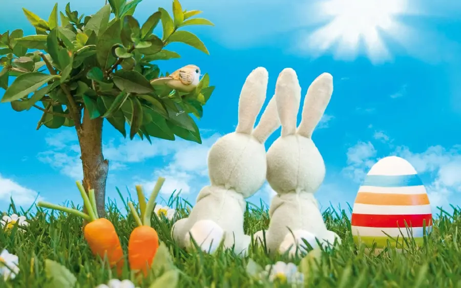 Best Cute Animated Graphic Wallpaper for Old Screens