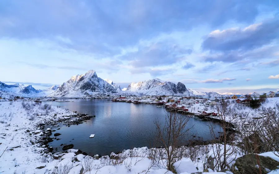 Download the highest quality frost and winter stock image 