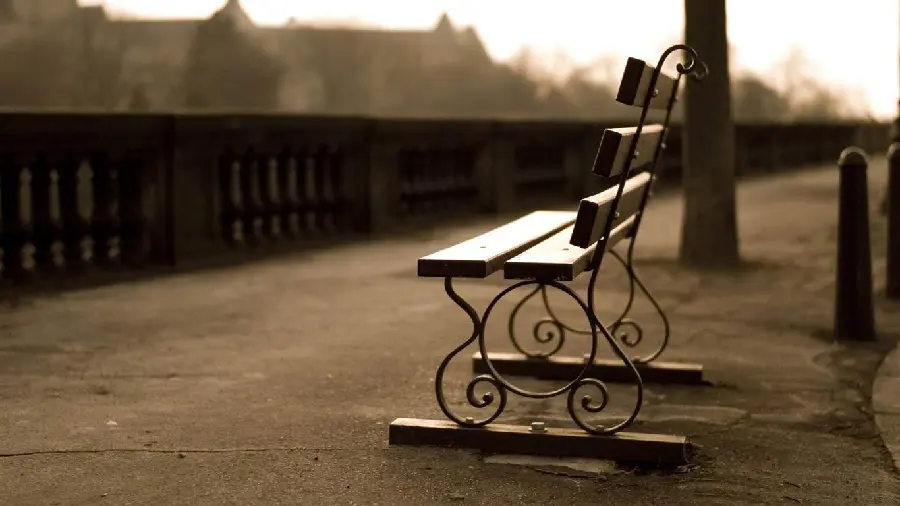 Download a very beautiful and spectacular photo of a wooden bench with HD quality