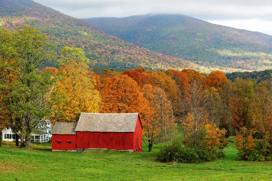 Village picture And the little green village with autumn trees 