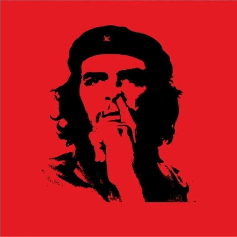 Download stock photo graphic of Che Guevara, the Cuban revolutionary with a red background