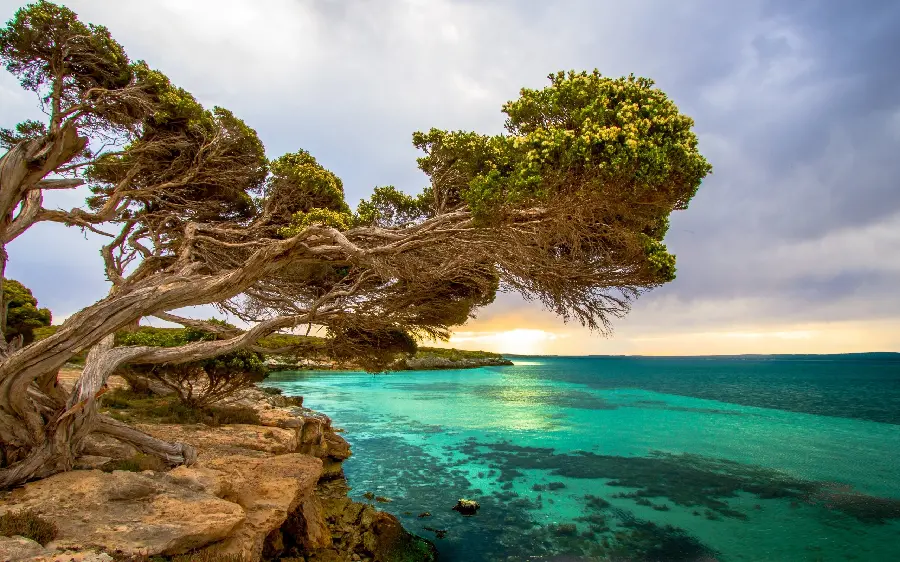 Background photo with the theme of beautiful and spectacular scenery full hd