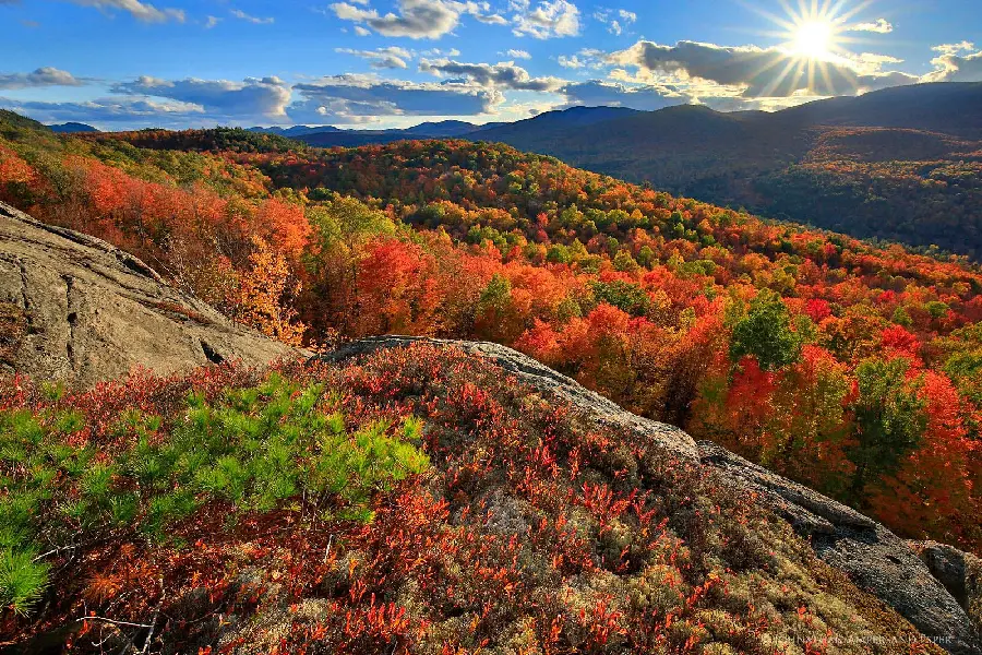 A cool and pleasant autumn landscape suitable for background and profile photos 